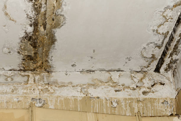 Reliable Matawan, NJ Water damage restoration Solutions